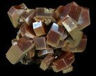 Deep Red Vanadinite Crystals on Matrix - Morocco #42198-1